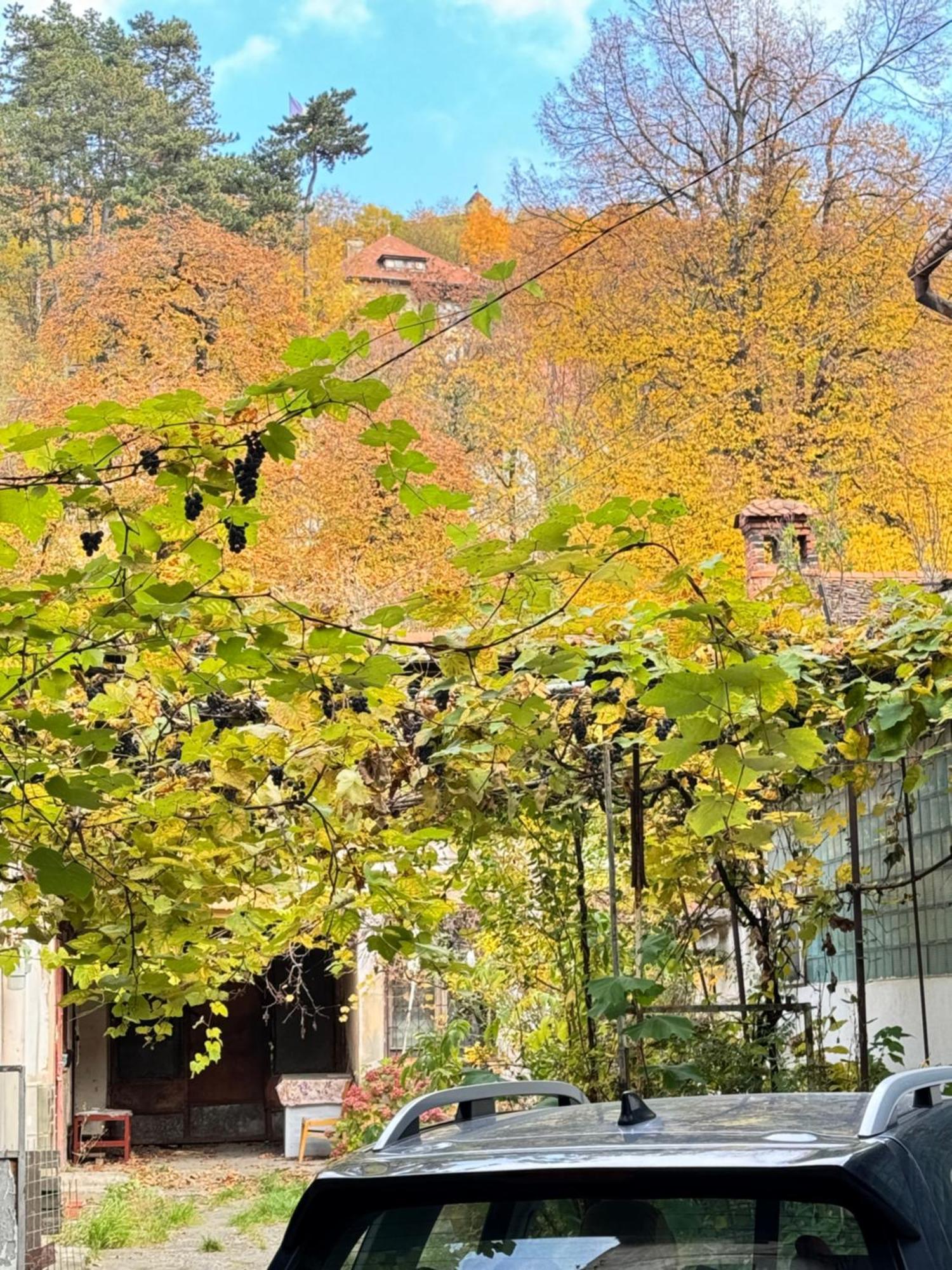 Casa Ming Villa Brassó Kültér fotó