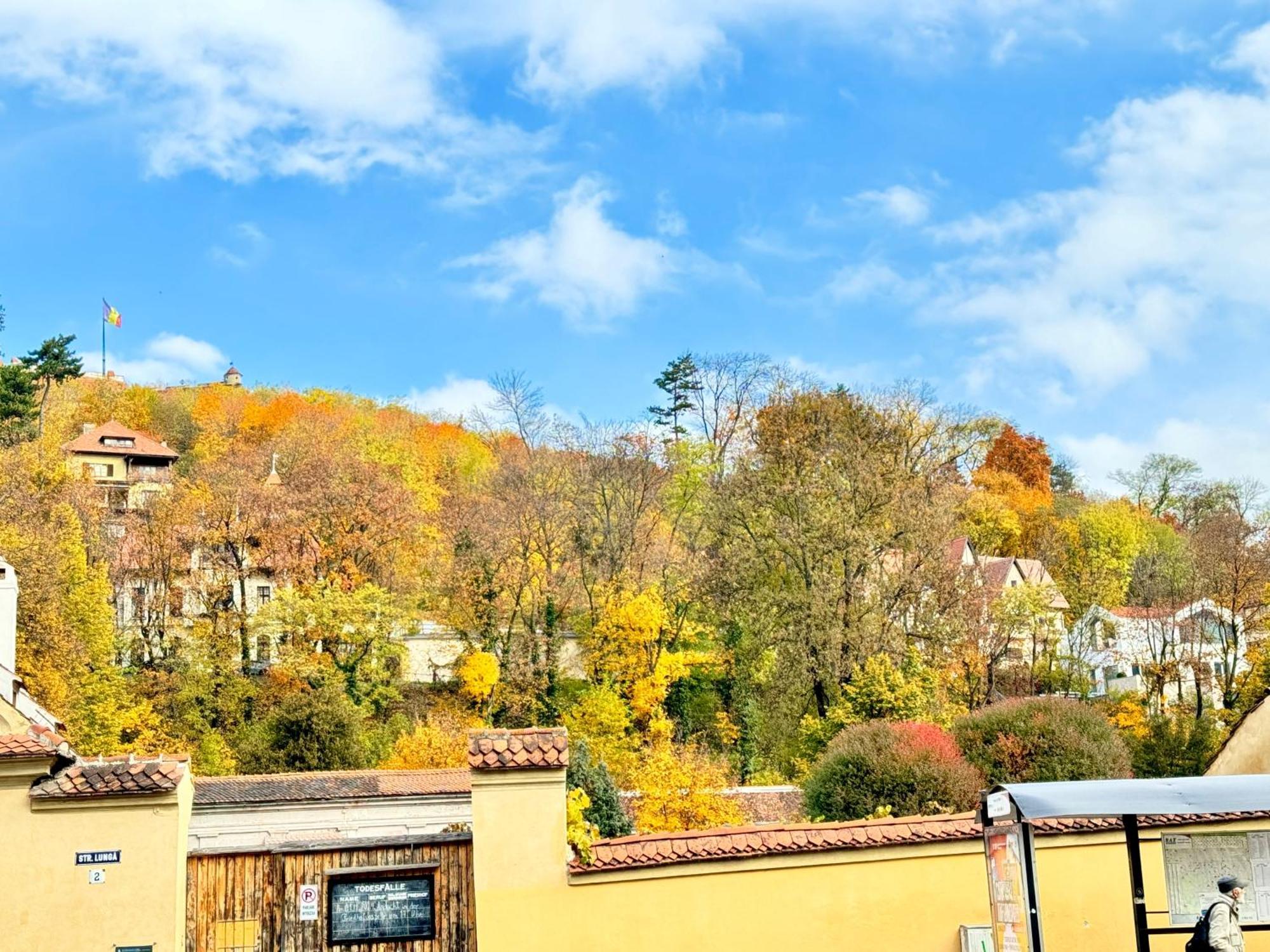 Casa Ming Villa Brassó Kültér fotó